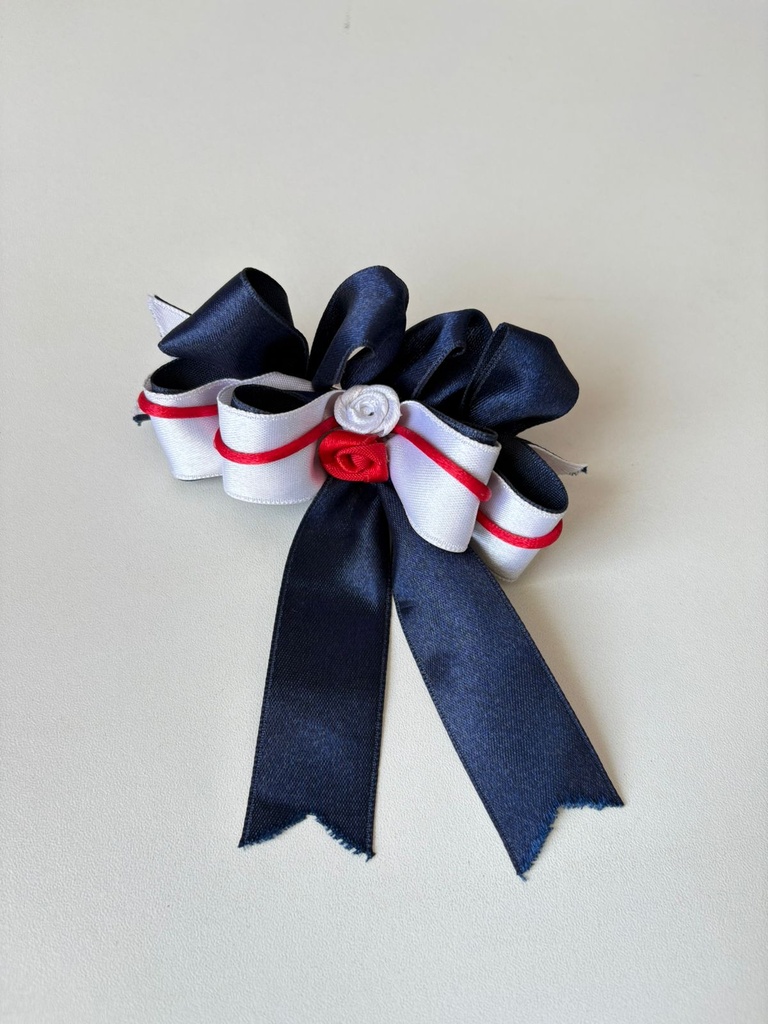 11010M/CARLOS - GANCHO ESCOLAR (LOR)