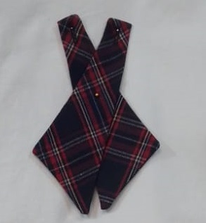 JLEORT - COBATIN ESCOLAR (CFI)