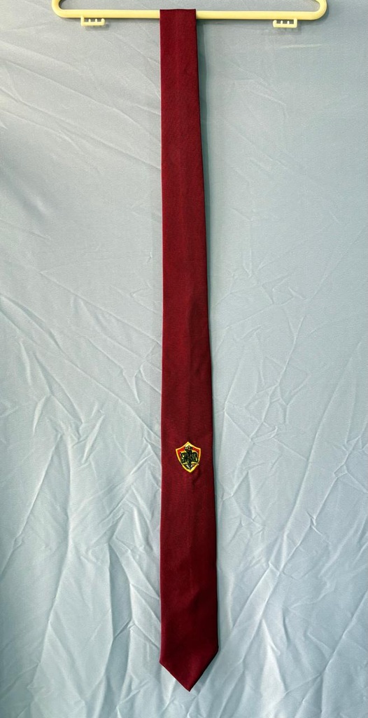 SANJO - CORBATA LARGA (LIN)