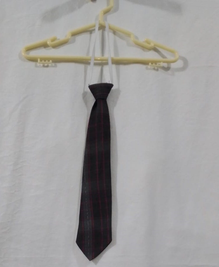 APLICA - CORBATA CON ELASTICO (CFI)