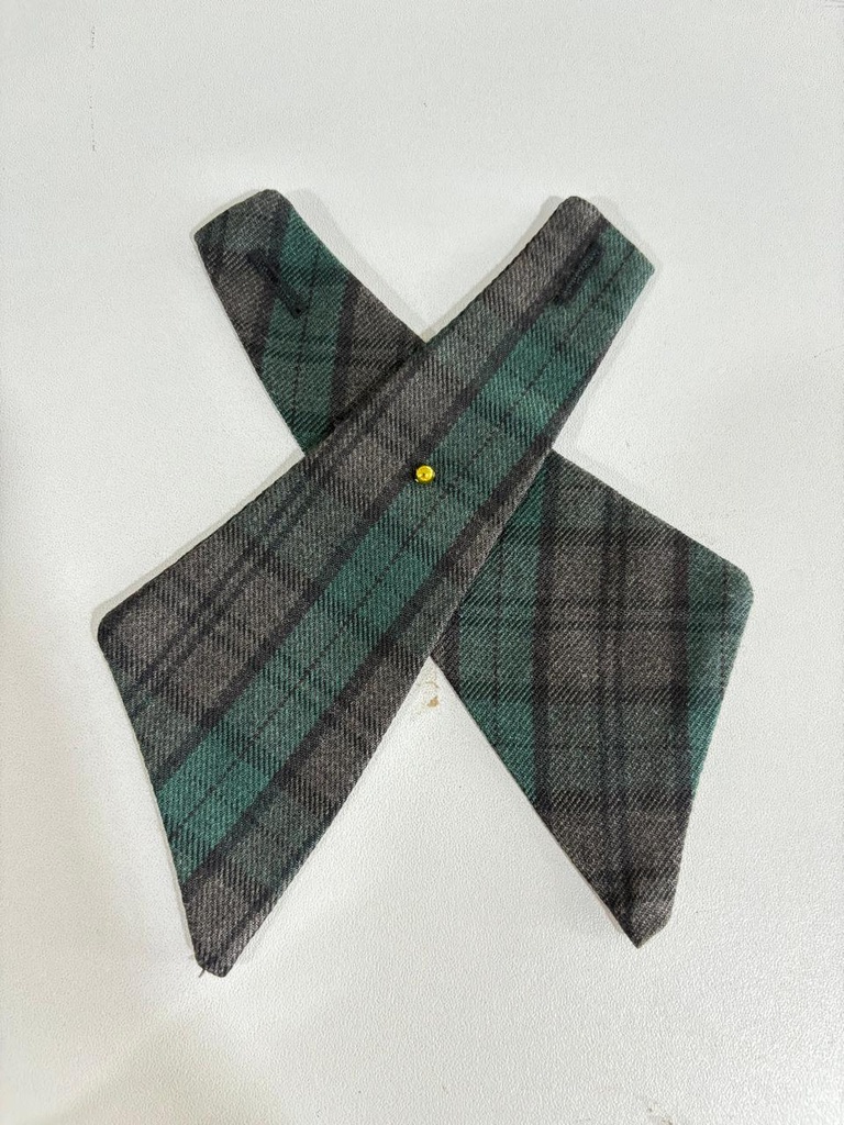 CORJES - COBATIN ESCOLAR (CFI)