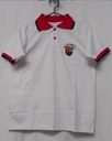 PRISMA - POLO ED. FISICA (A20/1)