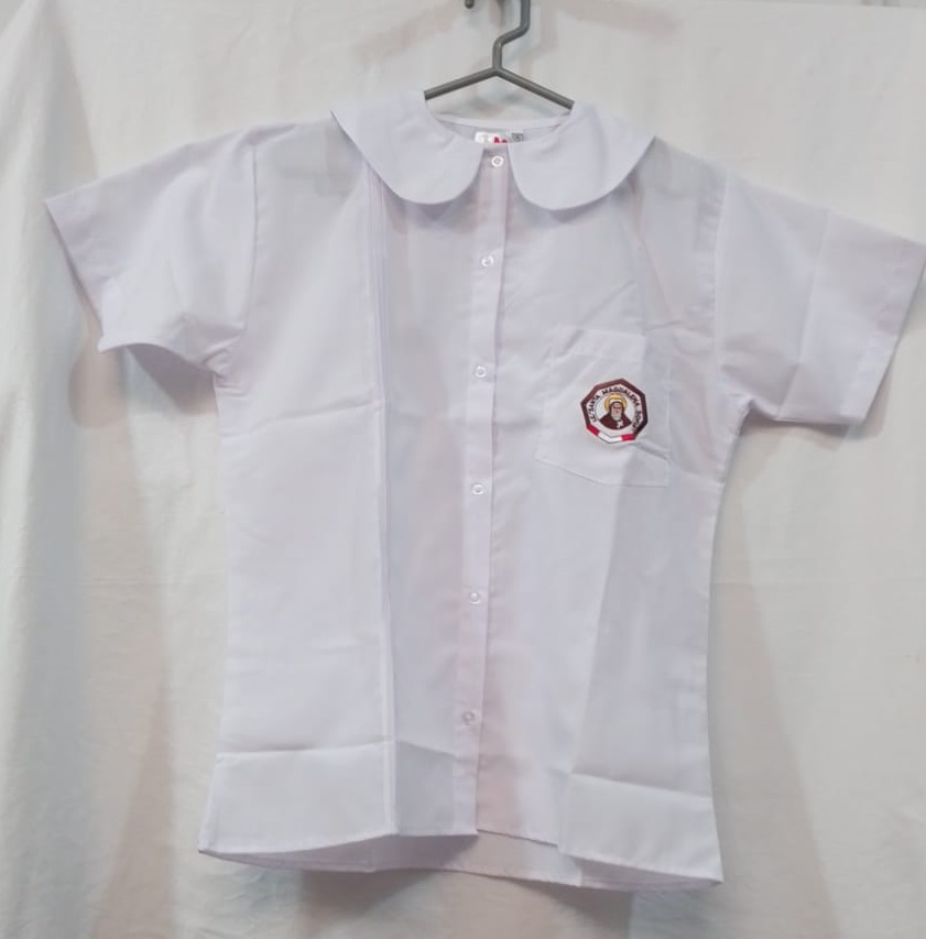 SOFIA - BLUSA CUELLO BB  (PTE)